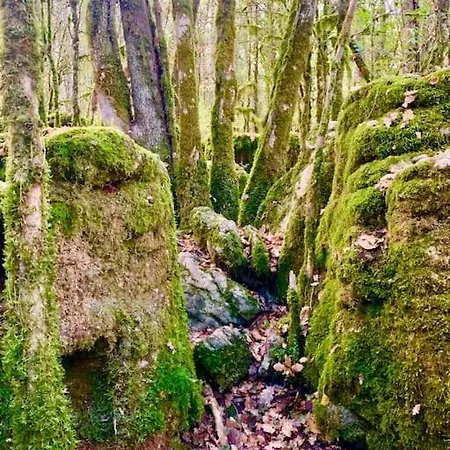 The Hideaway *